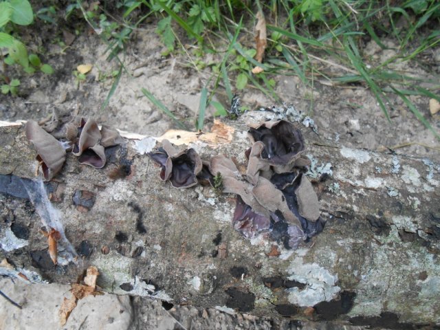 2013_07_26 1 fileminimizer